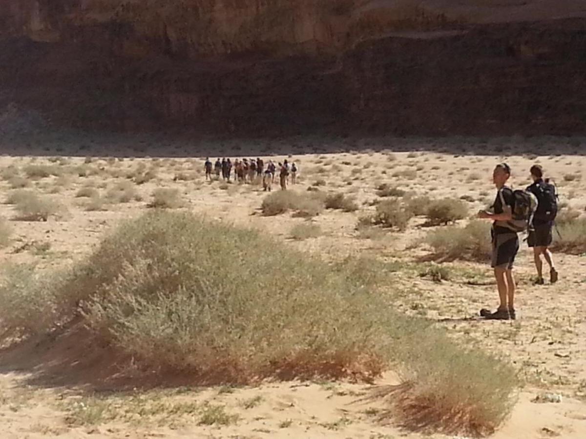 Zawaideh Desert Camp Ξενοδοχείο Ουάντι Ραμ Εξωτερικό φωτογραφία